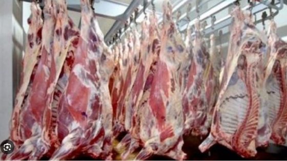 فضيحة لحوم قبل العيد: شاحنة محملة بكباش مذبوحة خارج القانون تهز سلا