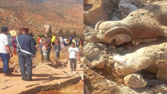 مأساة تهز تيموليلت: سور إعدادية يودي بحياة راعٍ وقطيعه.