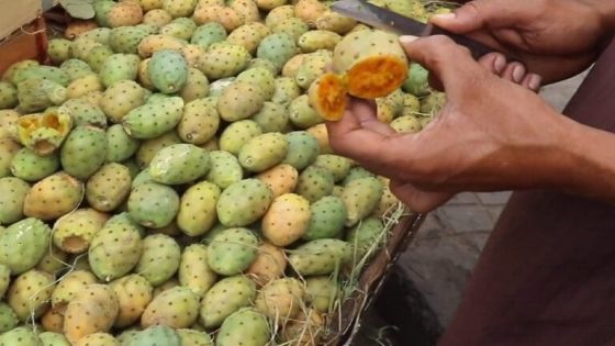 فاكهة الفقراء تتحول إلى “ترف”.. “الهندية” تُباع بالحبة بأسعار فلكية!