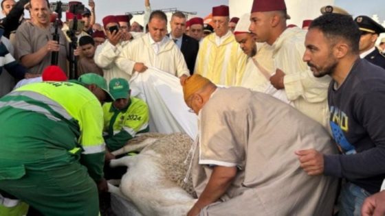 منتحل صفة يدعي القرب من القصر يورط فريد شوراق في “طقوس العيد”