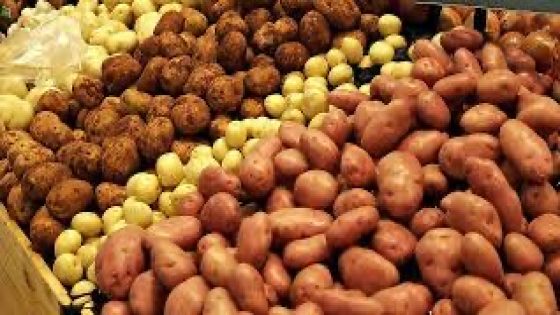 لهيب الأسعار يحرق البطاطس ويعمّق جراح القدرة الشرائية للمغاربة