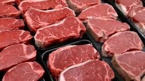 رغم تراجع وارداتها.. اللحوم البرازيلية تواصل اختراق السوق المغربية بفضل الأسعار والشبكات العالمية