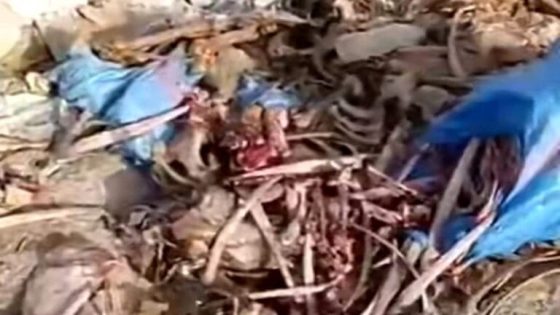 فيديو يظهر جماجم وعظام حيوانات يثير الجدل في تازة ويجر ناشره للتحقيق