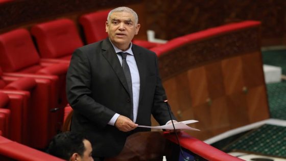 تسليط الضوء على الحملات المغلوطة ضد المغرب وموضوع الكلاب الضالة