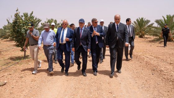 حرائق الواحات ومعاناة الفلاحين: أحداث وحقائق صادمة!