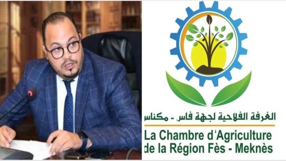 الغرفة الجهوية للفلاحة فاس مكناس ورئيسها خارج دائرة الجدل : مشاكل مزارعي القنب الهندي بإقليم تاونات من إختصاص الوكالة الوطنية لتقنين القنب الهندي