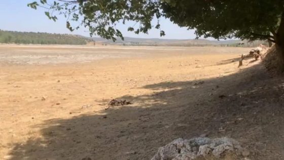 من بحيرة ساحرة إلى أرض قاحلة.. “ضاية عوا” تلفظ أنفاسها الأخيرة وسط صمت رسمي مريب