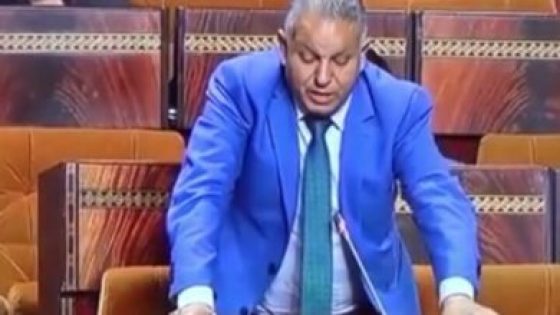 قضية أراضي أولاد الطيب تُسقط الفايق وإخوانه: أحكام قضائية بالحبس الموقوف تطيح بشبكة التلاعب