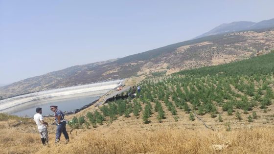 وفاة شاب عشريني بصعقة كهربائية أثناء صيانة طاقة شمسية بجماعة واد مالحة شفشاون