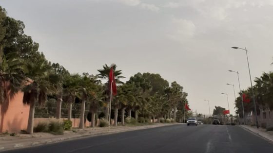 اليوسفية: القطب الصناعي “المزيندة” يكشف غياب رؤية استراتيجية مسبقة للمجالس المنتخبة.