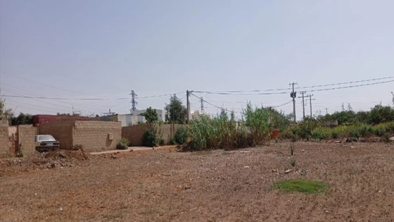 زنا المحارم يهز جماعة المنزه نواحي عين عودة.. الخبرة الجينية تكشف مفاجأة صادمة