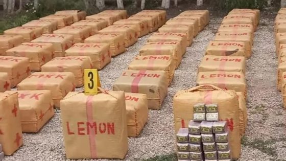 ضبط 922 كيلو من الحشيش في إفني: محاولة تهريب دولية فاشلة