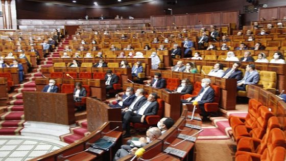 زيادة مقاعد البرلمان.. حيلة سياسية أم حاجة وطنية؟