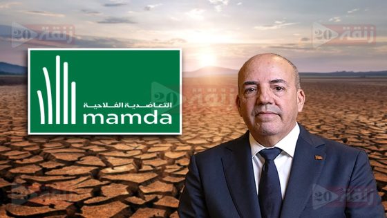 تأمينات الفلاحين: تعويضات الجفاف الهزيلة تصل لـ150 درهم