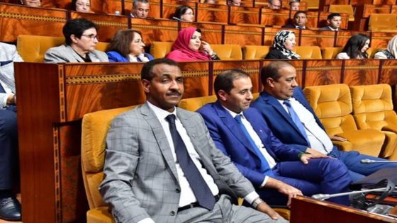 فضائح برلمانيات اتحاديات: عنف سياسي وذكورية في المشهد