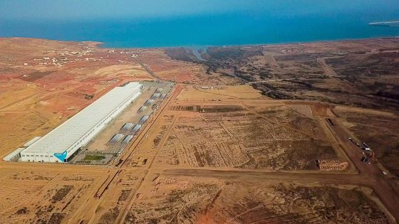 إطلاق مشروع ضخم لصناعة عجلات السيارات في الدريوش!