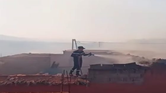 اكتشف فوائد نخل الواحات في تغجيجت قرب كلميم