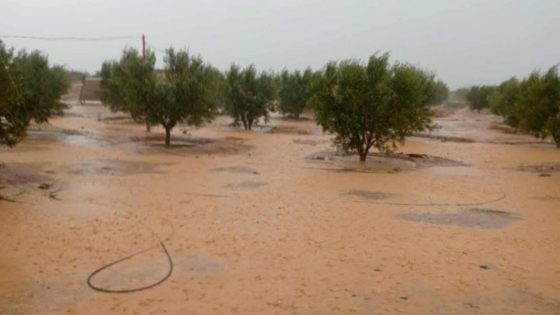 أمطار غزيرة تنعش الأراضي الزراعية وتعيد الأمل للفلاحين