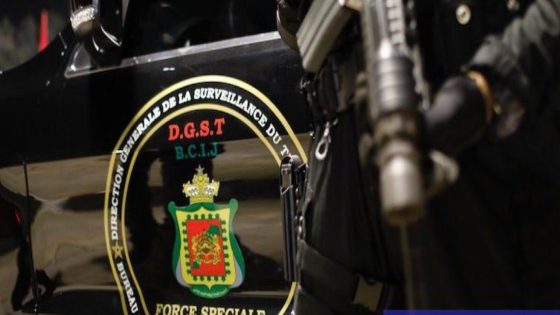 التعاون الأمني المغربي الأوروبي: تعزيز الاستقرار الدولي