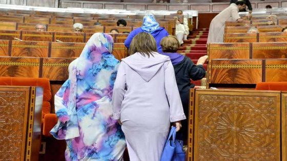 العنف السياسي ضد النساء في البرلمان: رسالة قوية للمسؤولين