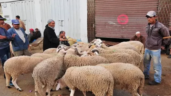 التجار يطالبون بالدعم وسط شكاوى من وزارة البواري