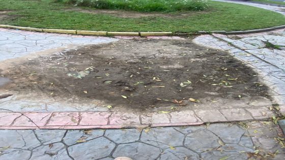 طنجة-المعاناة في حي الجديد “كاساباراطا”.. حُفر أرضية تهدد السلامة وتستدعي تدخلاً عاجلاً