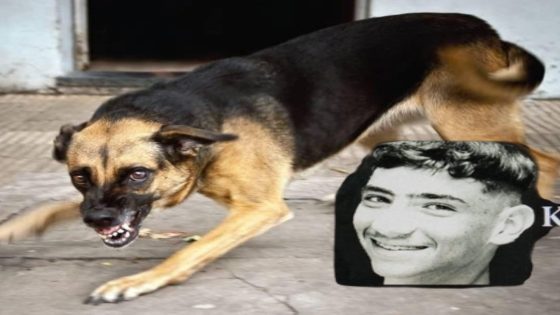 رعب الكلاب الضالة ينهي حياة لاعب فرنسي شاب بمراكش ويثير تساؤلات حول السلامة