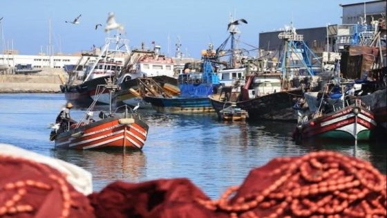 ميناء طنجة يعيد رسم ملامح الصيد البحري في 2025