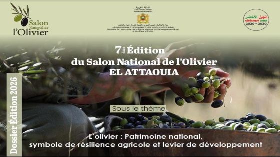 محمد البركة: عودة المعرض الوطني للزيتون محطة لإعادة التفكير في مستقبل الذهب الأخضر.