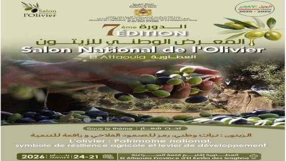 العطاوية تحتضن النسخة السابعة من المعرض الوطني للزيتون احتفاءً بتراث فلاحي راسخ