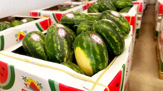 مصدروا الفواكه والخضر يشتكون من العراقيل بميناء طنجة المتوسط