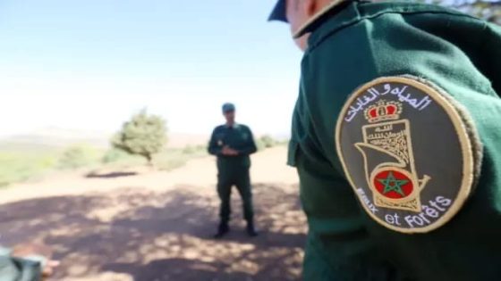 زلزال إداري بأزرو: إعفاء مديرة المياه والغابات بعد سنة من تعيينها يفتح باب التساؤلات