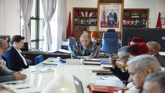 في مواجهة نزيف الهدر المدرسي.. سلطات قلعة السراغنة تعلن تعبئة شاملة لتعزيز التمدرس وحماية مستقبل التلاميذ بالإقليم