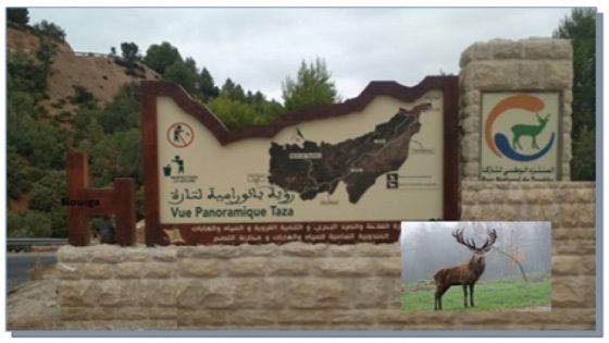 تازة تستعيد موقعها السياحي بإحداث ملحقة جهوية بعد غياب دام 40 سنة