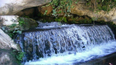 إقليم تاونات محتاج اليوم أكثر من أي وقت مضى إلى استثمارات منتجة تخلق فرص الشغل وتؤسس لتنمية عادلة ومستدامة     