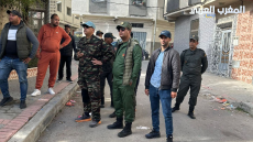 حملة لتحرير أحياء طنجة من فوضى الخيول والعربات العشوائية