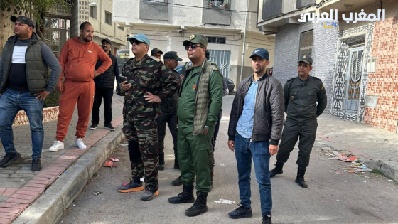حملة لتحرير أحياء طنجة من فوضى الخيول والعربات العشوائية