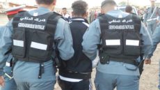 الدرك يحجز 3959 وحدة محظورة من المفرقعات كانت متوجهة إلى سيدي بنور