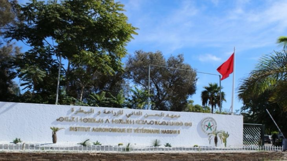 ملف 28 أستاذاً بيطرياً عالق بوزارة الاقتصاد والمالية.. مسار قانوني مكتمل ينتظر التأشير المالي