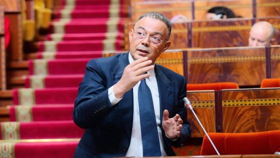 ​لقجع والدستور : كيف يُسقط مبدأ التضامن الحكومي ادعاء “الحياد التقني ” للمكلف بالميزانية …